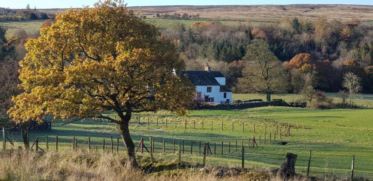 Lower Turnerford Farmhouse Newby  Buitenkant foto